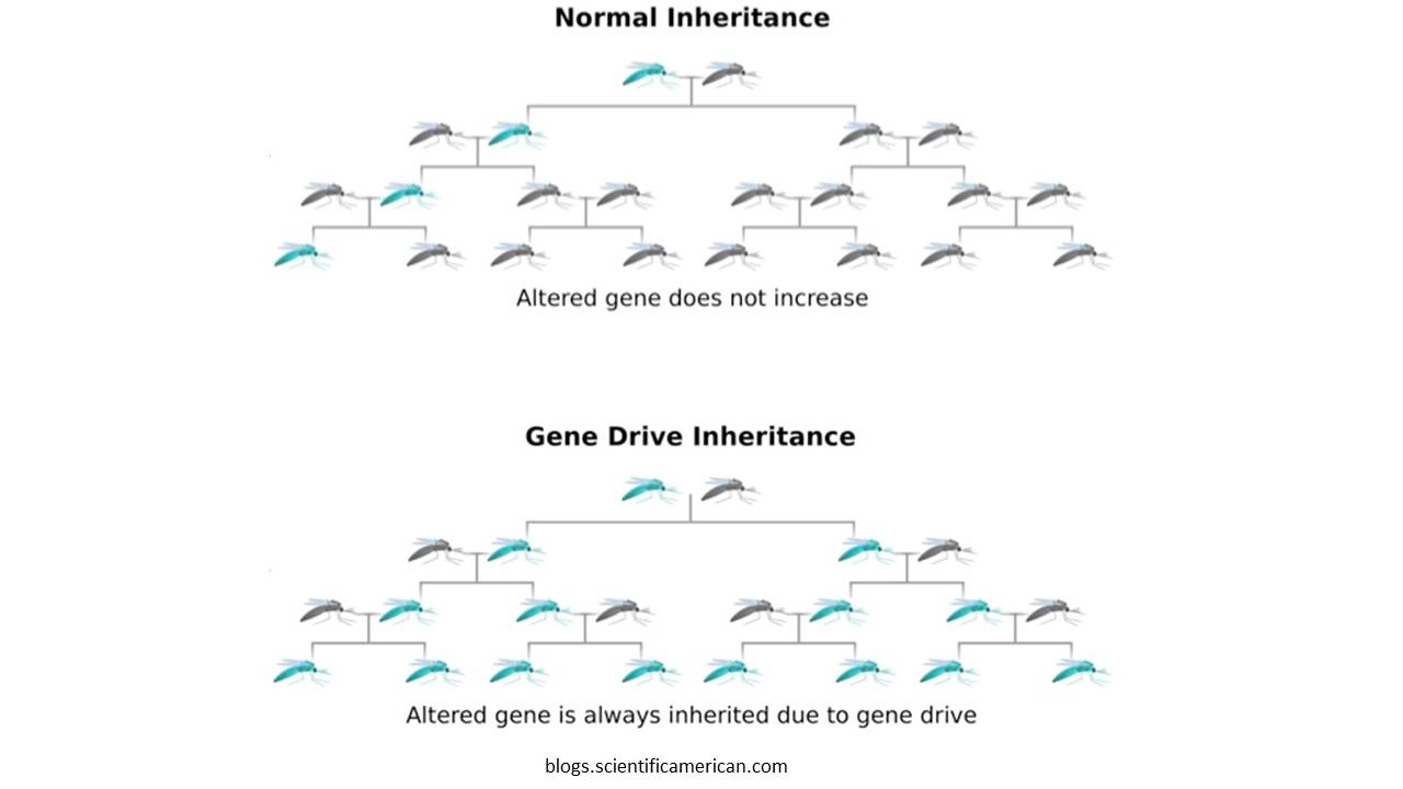 Gene Drives (a)